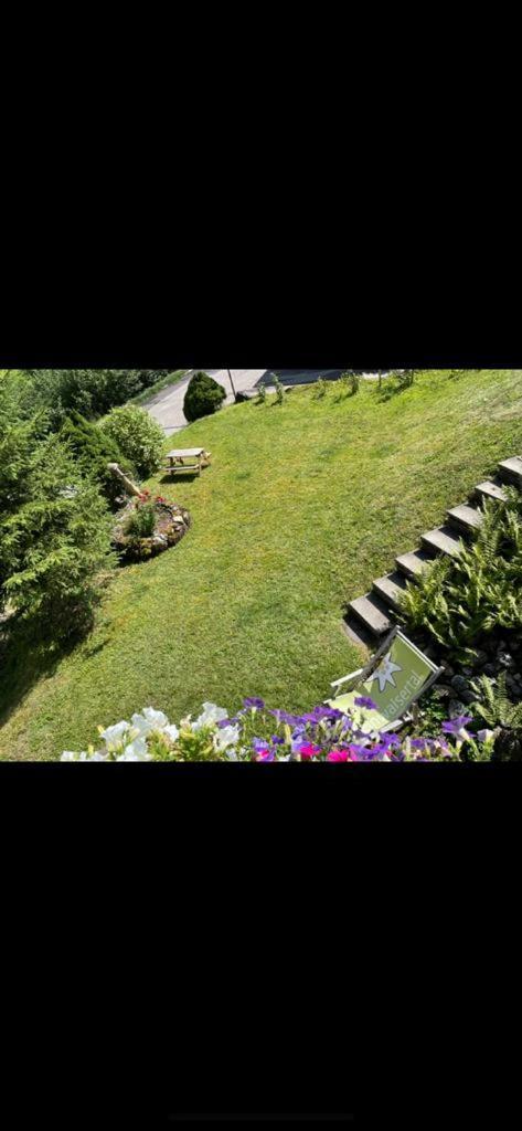 Bergjuwel Kleinwalsertal Hirschegg Rein المظهر الخارجي الصورة